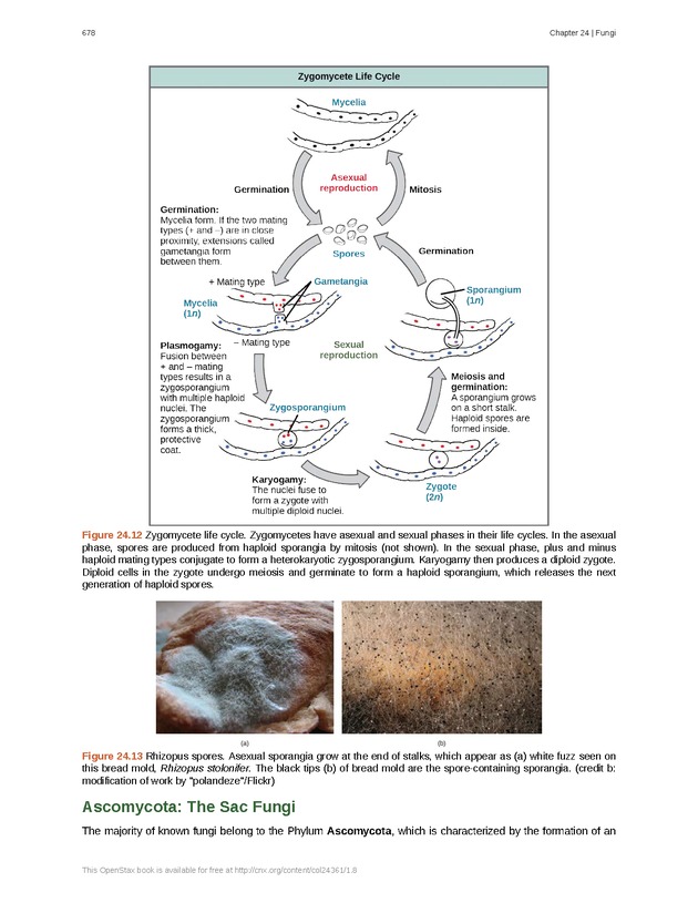 Biology - Front Matter 689