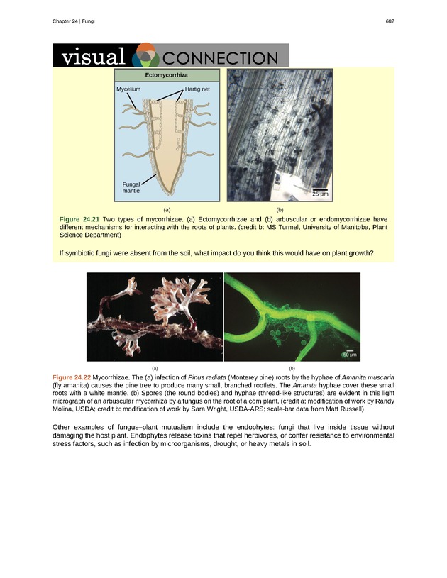 Biology - Front Matter 698
