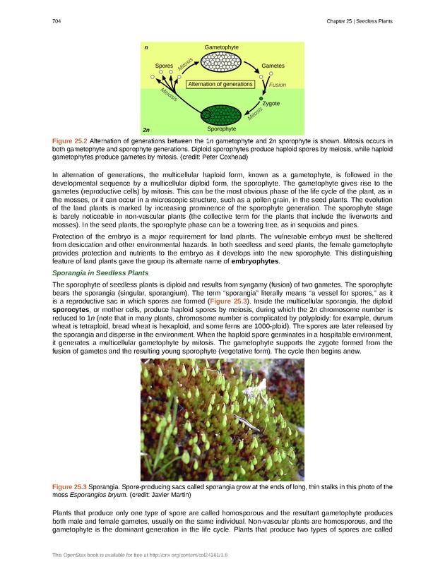 Biology - Front Matter 715