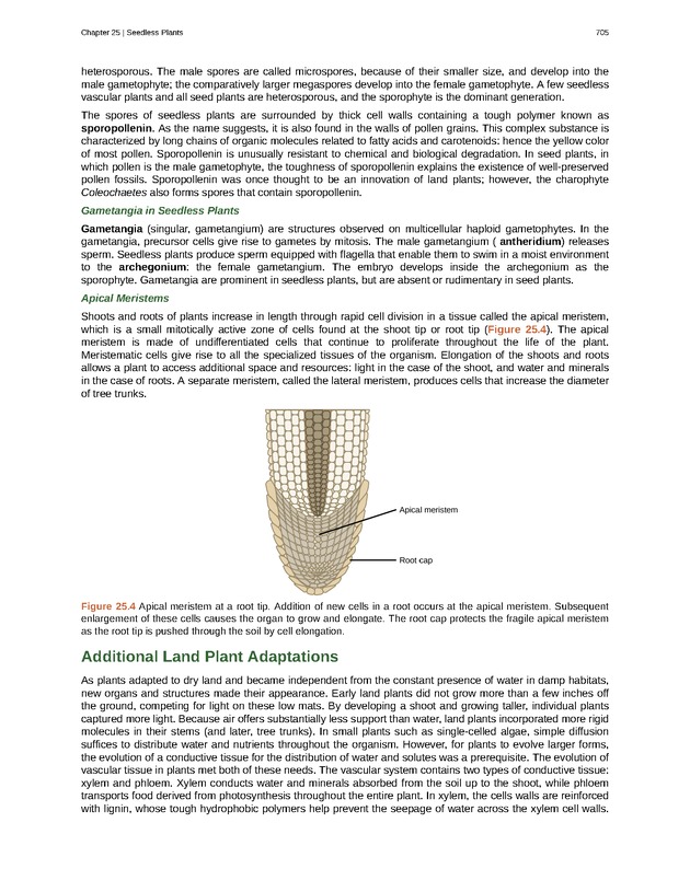 Biology - Front Matter 716