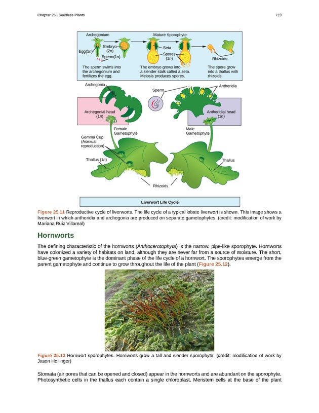 Biology - Front Matter 724