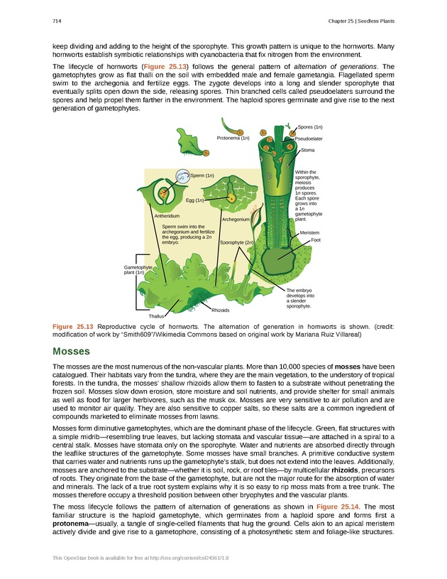 Biology - Front Matter 725