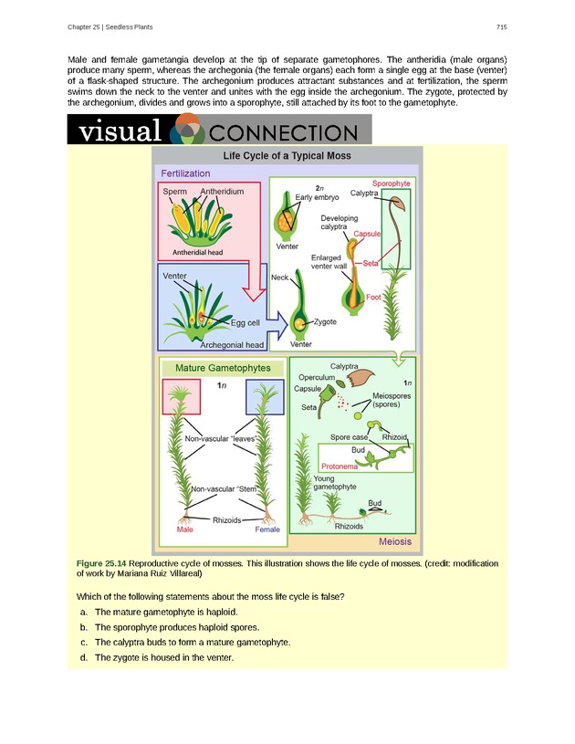 Biology - Front Matter 726