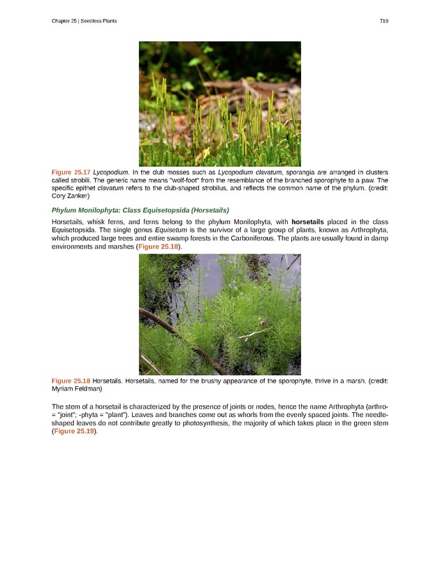 Biology - Front Matter 730