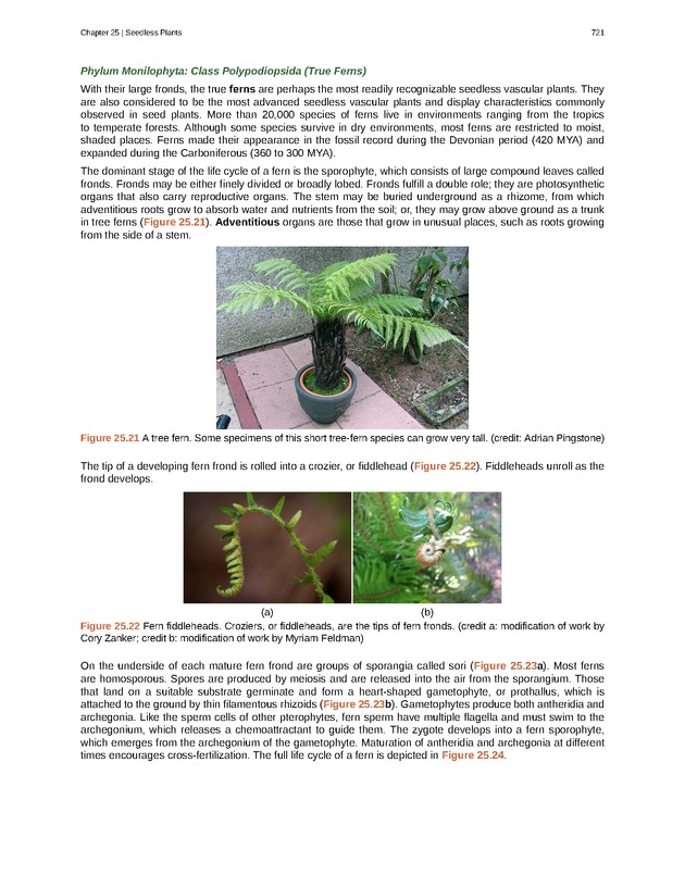 Biology - Front Matter 732