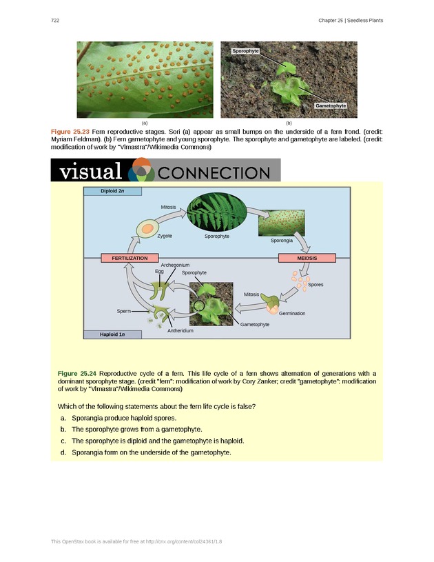 Biology - Front Matter 733