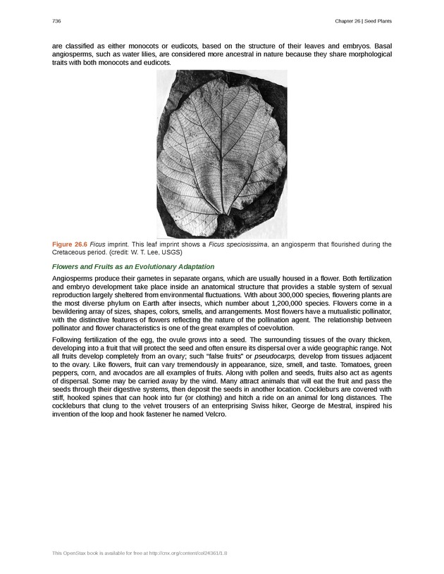 Biology - Front Matter 747