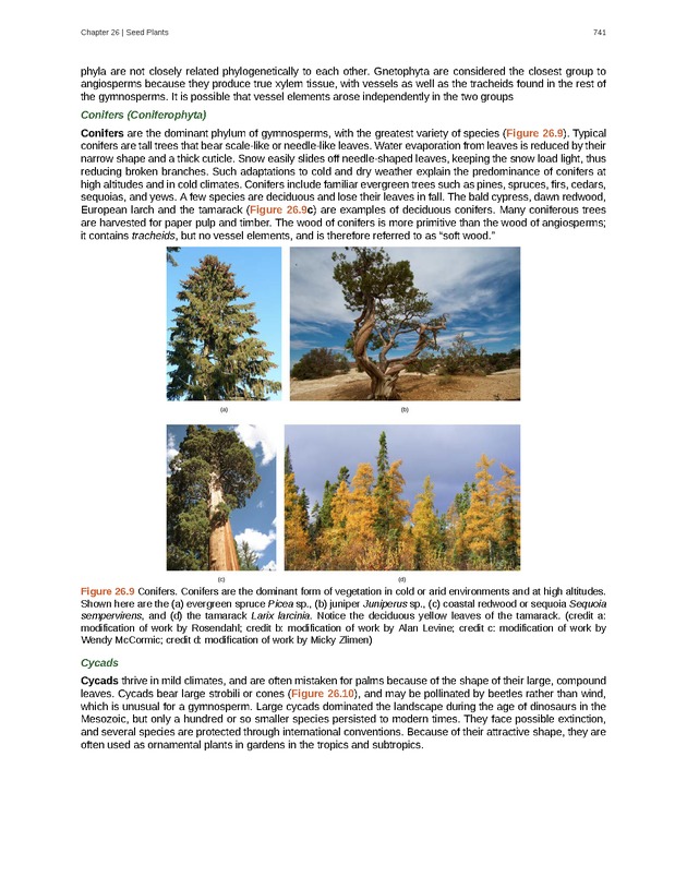 Biology - Front Matter 752