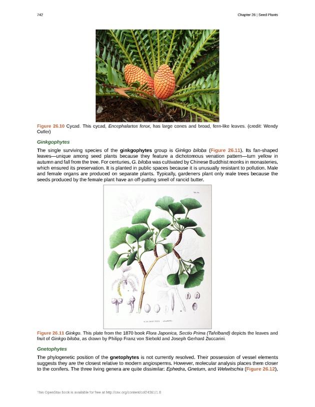 Biology - Front Matter 753