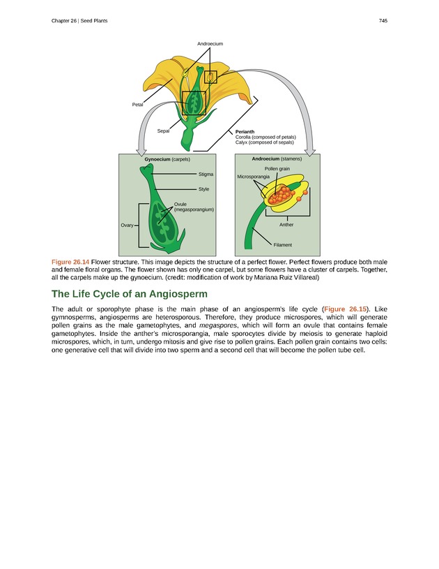 Biology - Front Matter 756