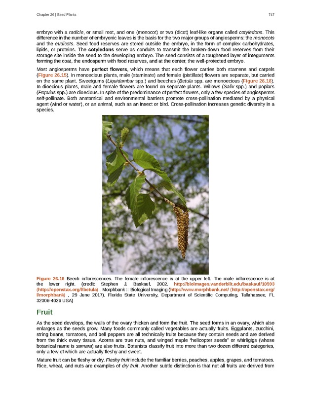 Biology - Front Matter 758