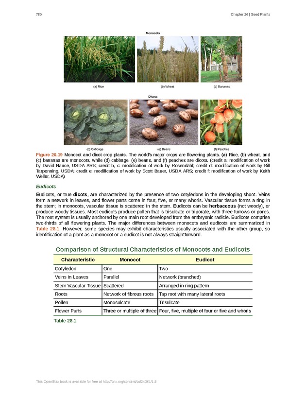 Biology - Front Matter 761