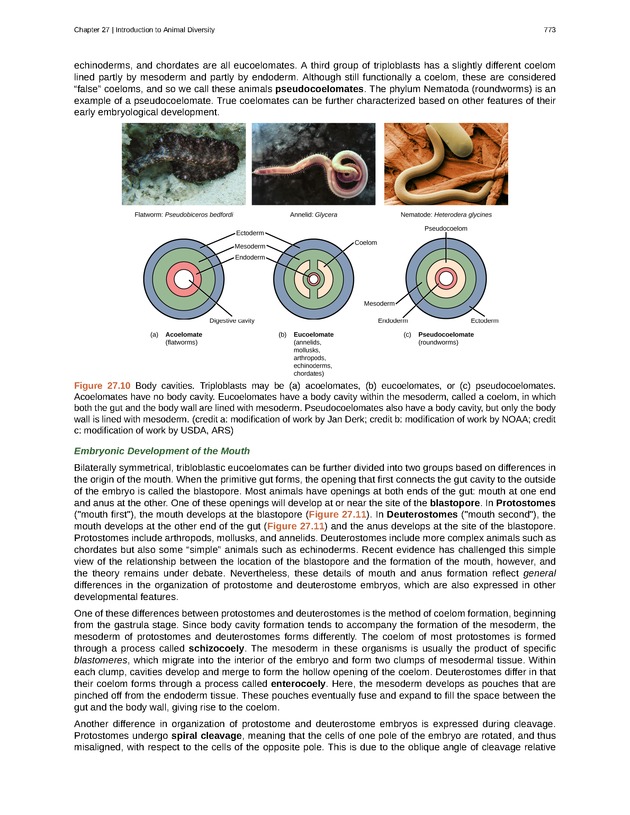 Biology - Front Matter 784
