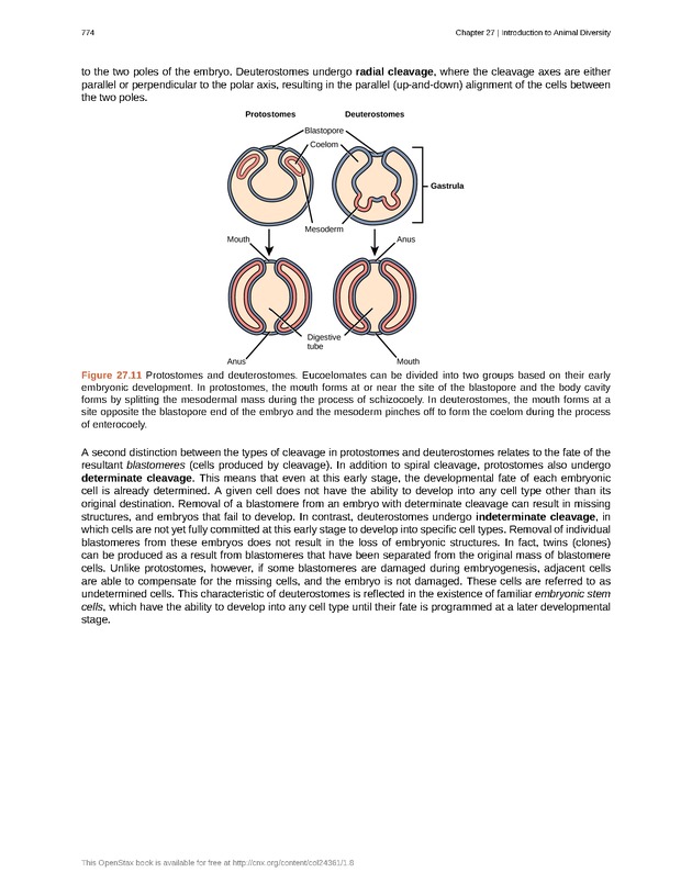 Biology - Front Matter 785