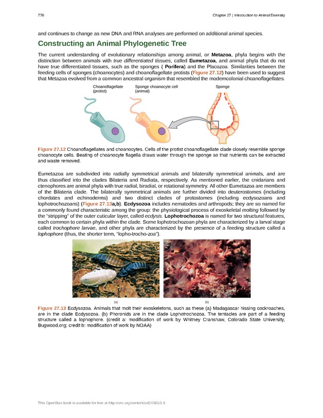 Biology - Front Matter 787