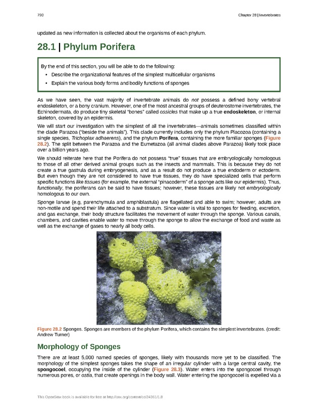 Biology - Front Matter 801