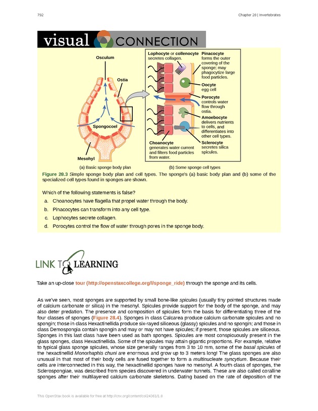 Biology - Front Matter 803