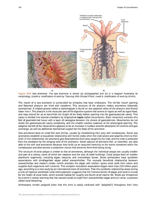 Biology - Front Matter 809