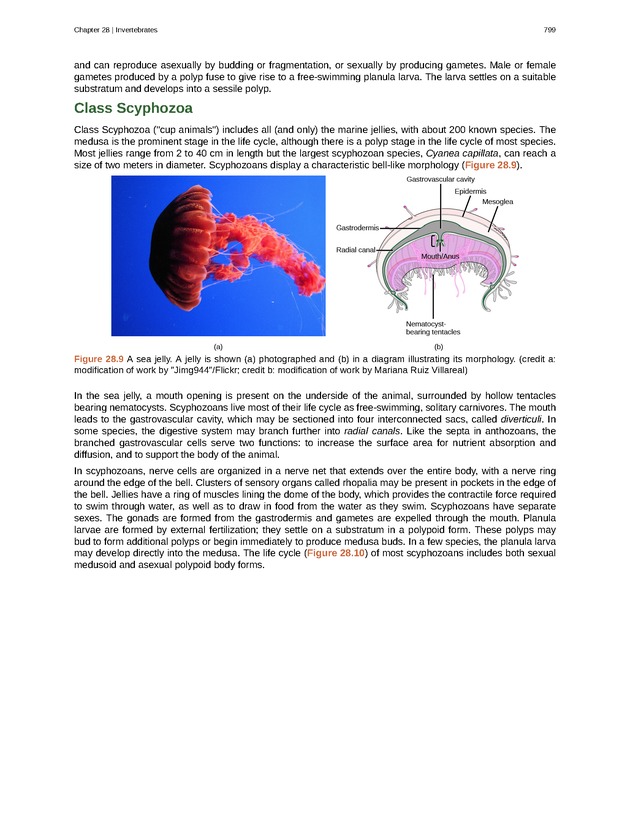 Biology - Front Matter 810