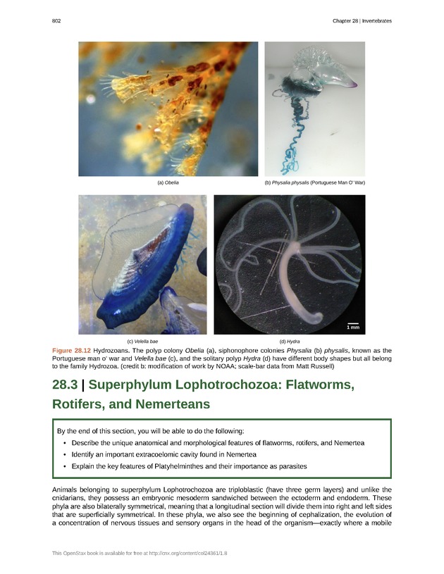 Biology - Front Matter 813