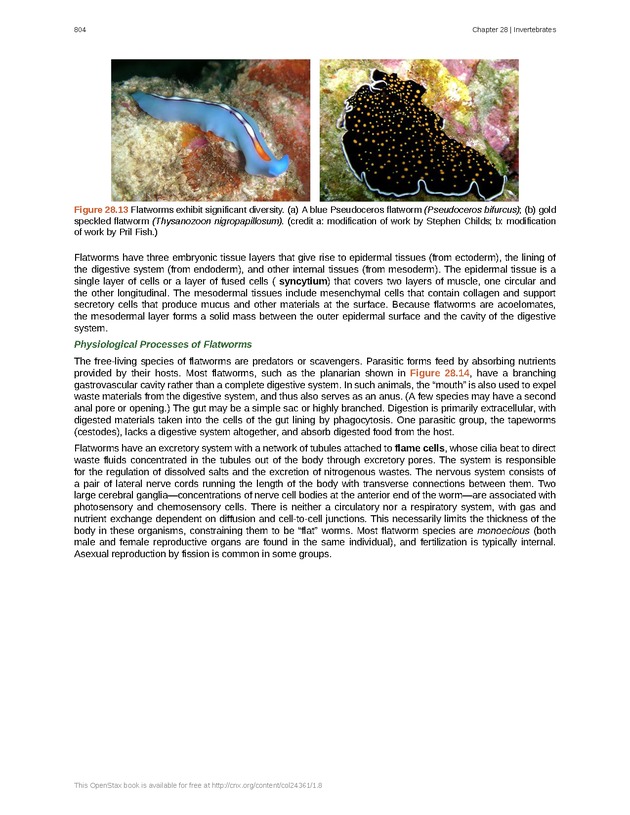 Biology - Front Matter 815