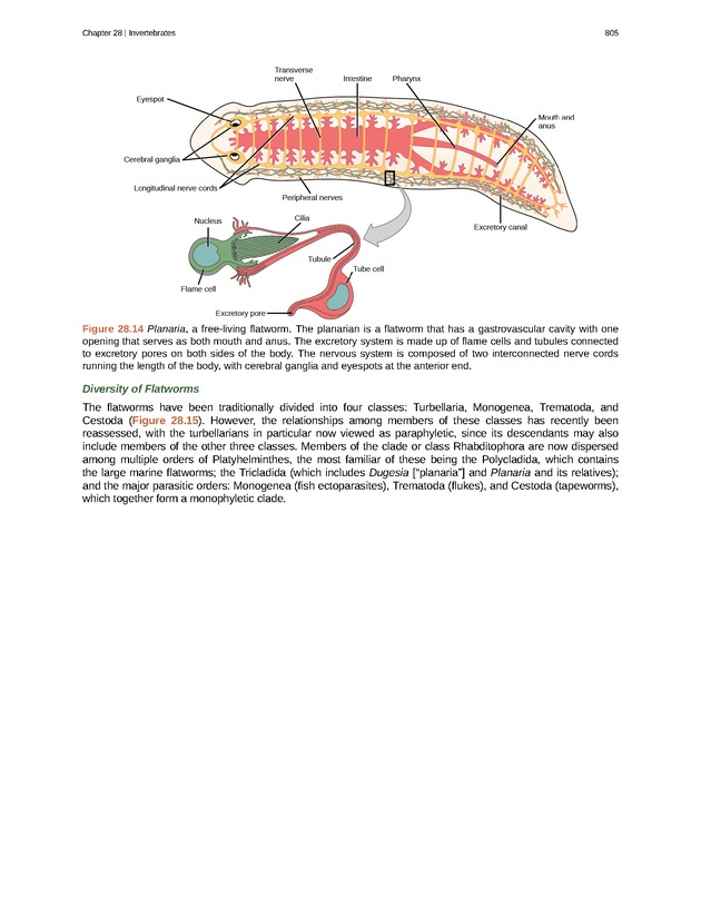 Biology - Front Matter 816