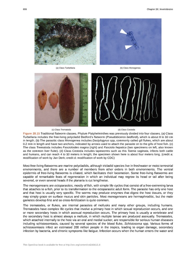 Biology - Front Matter 817