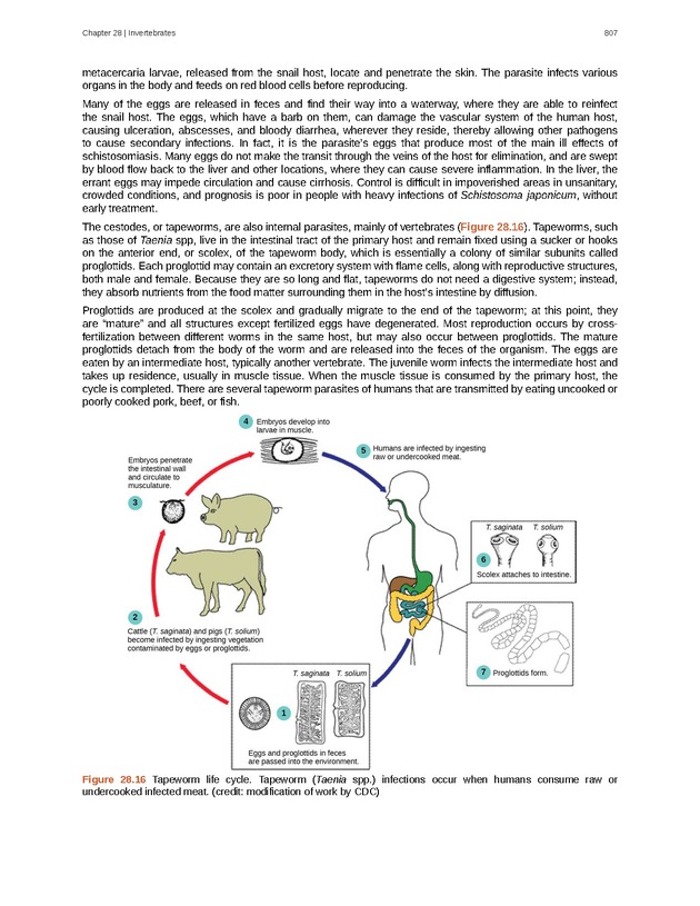 Biology - Front Matter 818