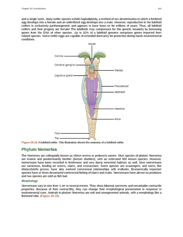 Biology - Front Matter 820