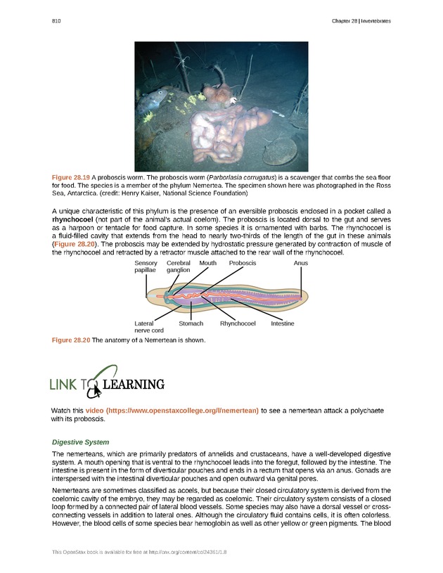 Biology - Front Matter 821