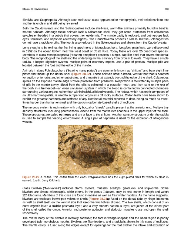 Biology - Front Matter 824