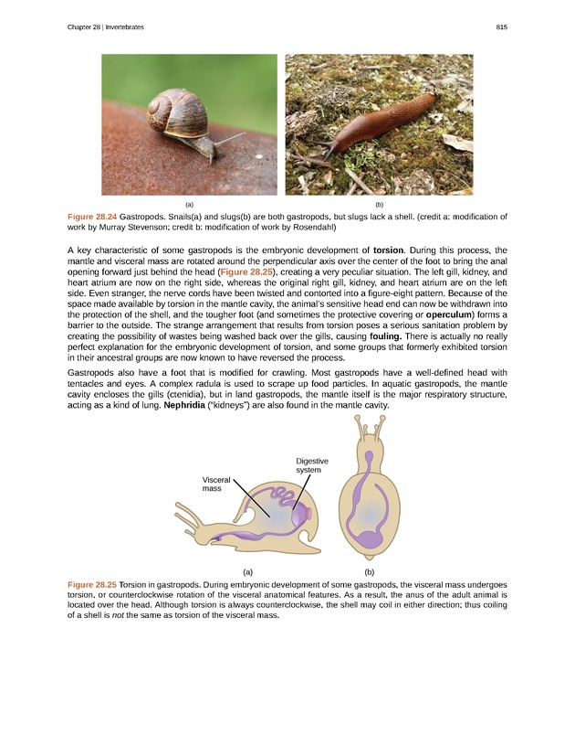 Biology - Front Matter 826