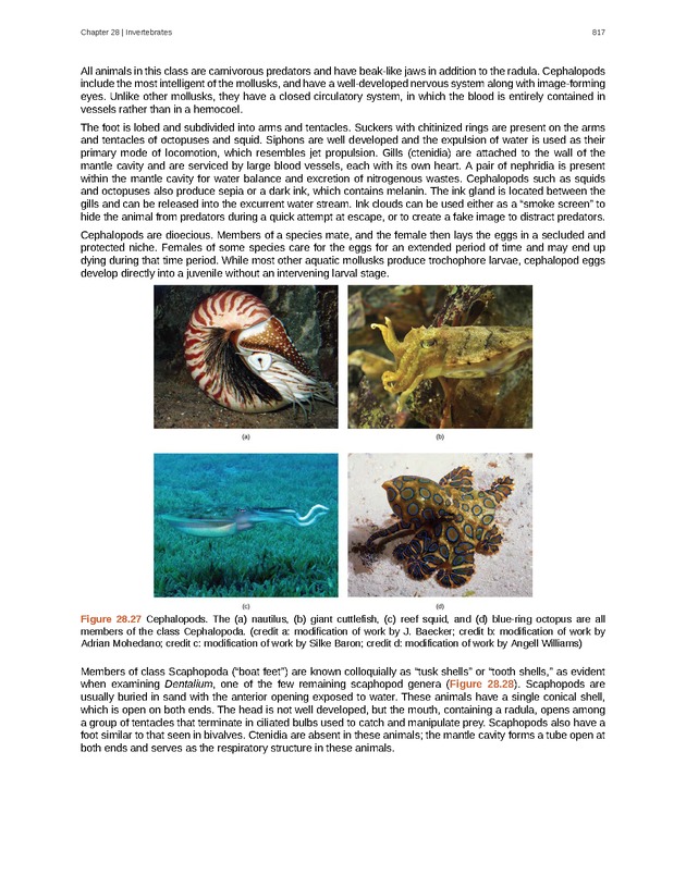 Biology - Front Matter 828
