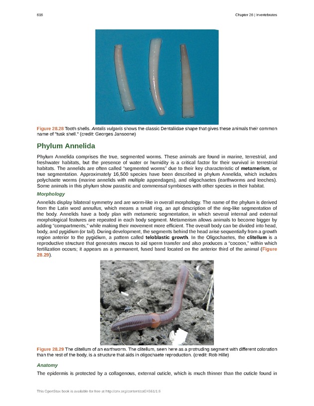 Biology - Front Matter 829