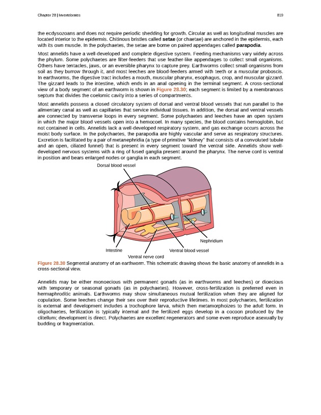Biology - Front Matter 830