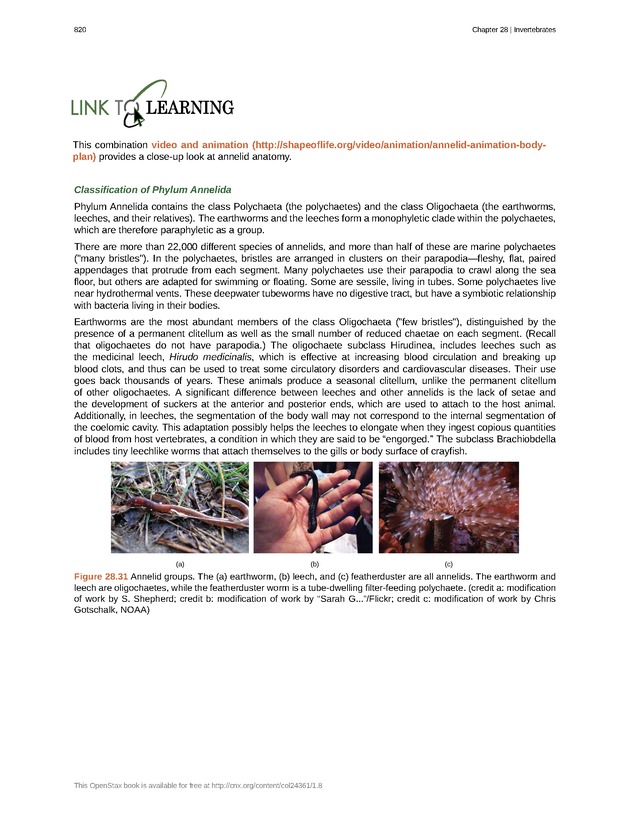 Biology - Front Matter 831