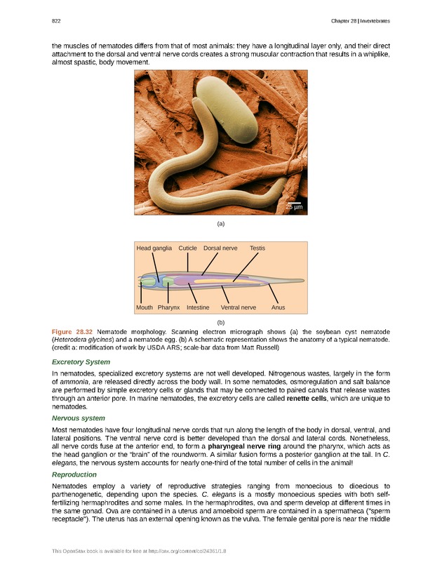 Biology - Front Matter 833