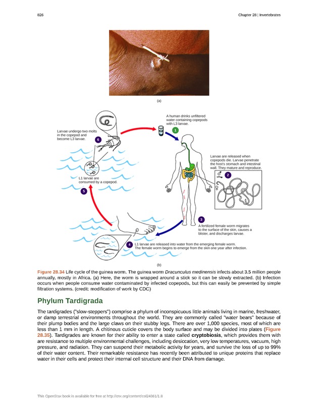 Biology - Front Matter 837