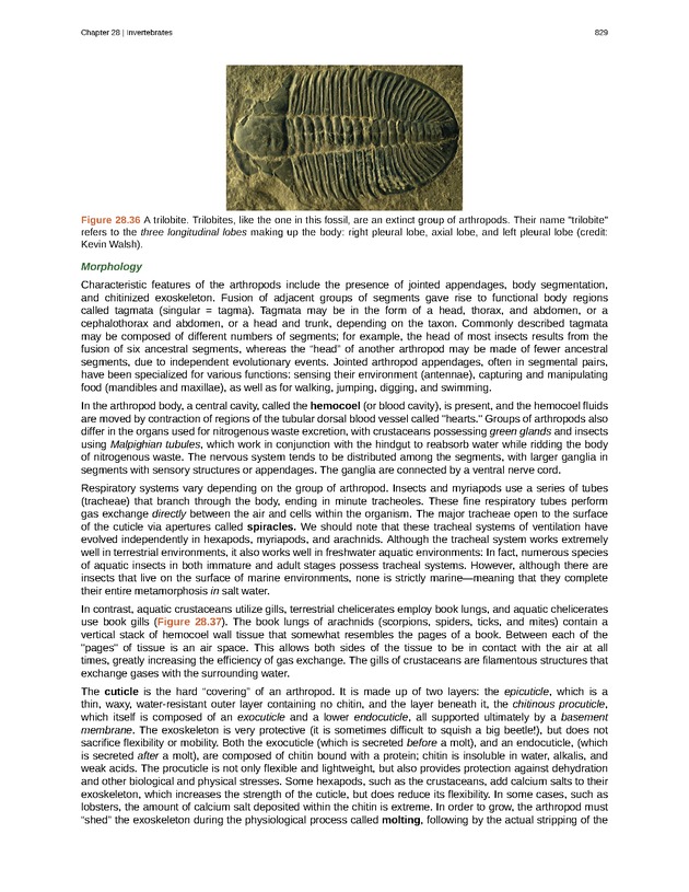 Biology - Front Matter 840