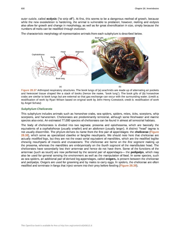 Biology - Front Matter 841