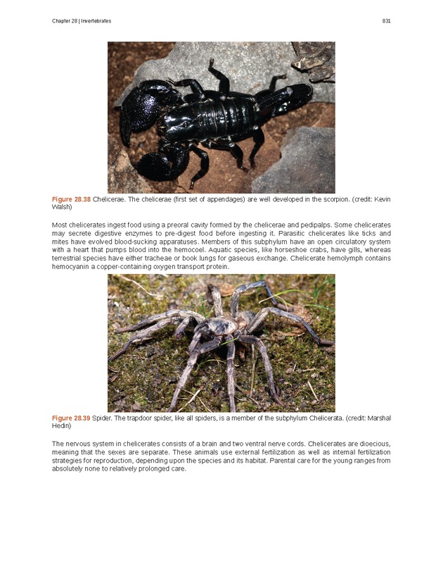 Biology - Front Matter 842