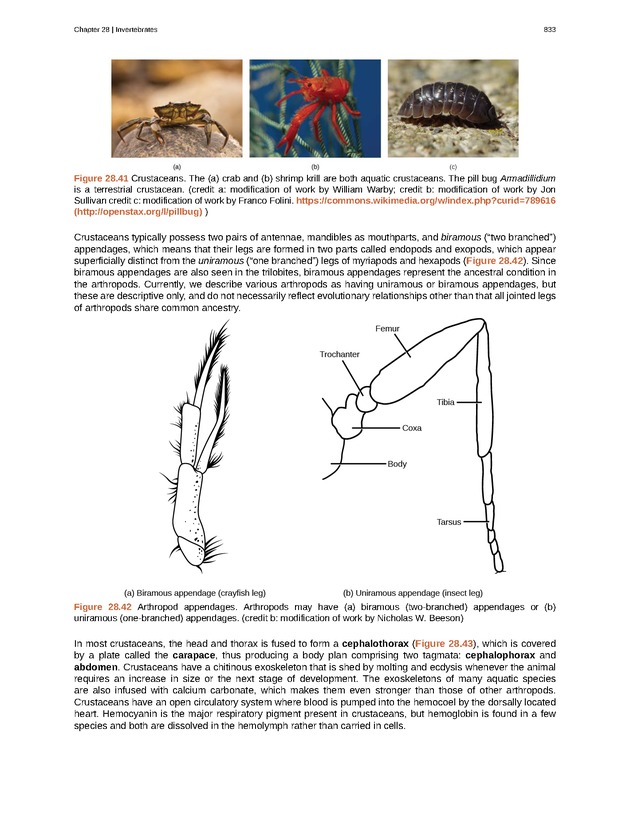 Biology - Front Matter 844