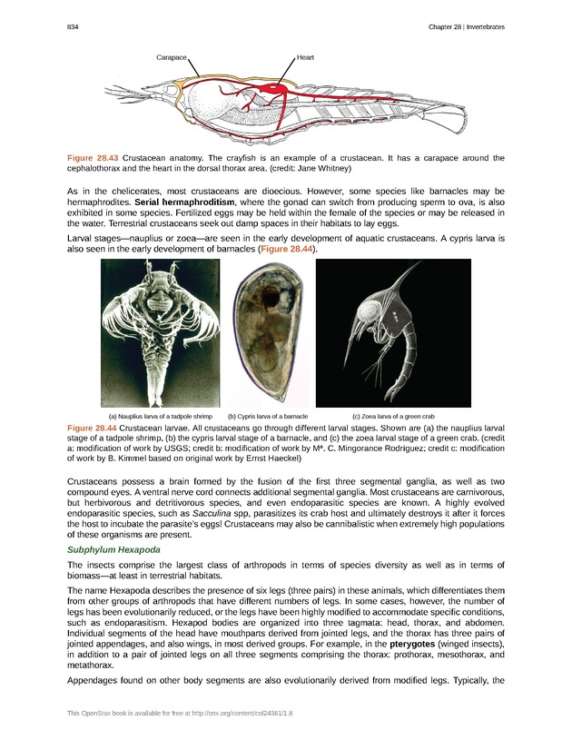 Biology - Front Matter 845