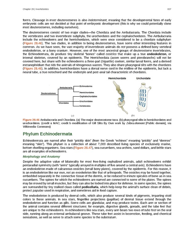 Biology - Front Matter 848