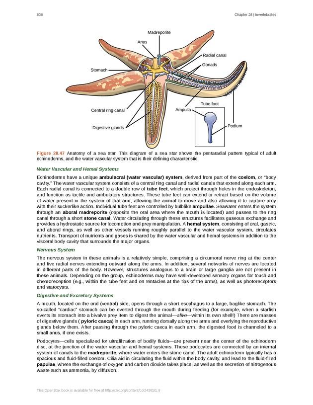 Biology - Front Matter 849
