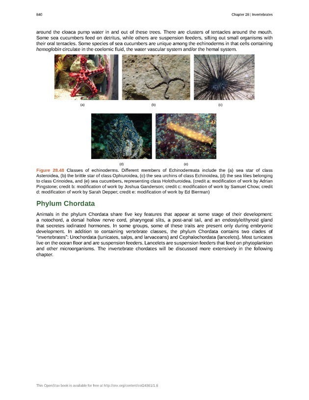 Biology - Front Matter 851
