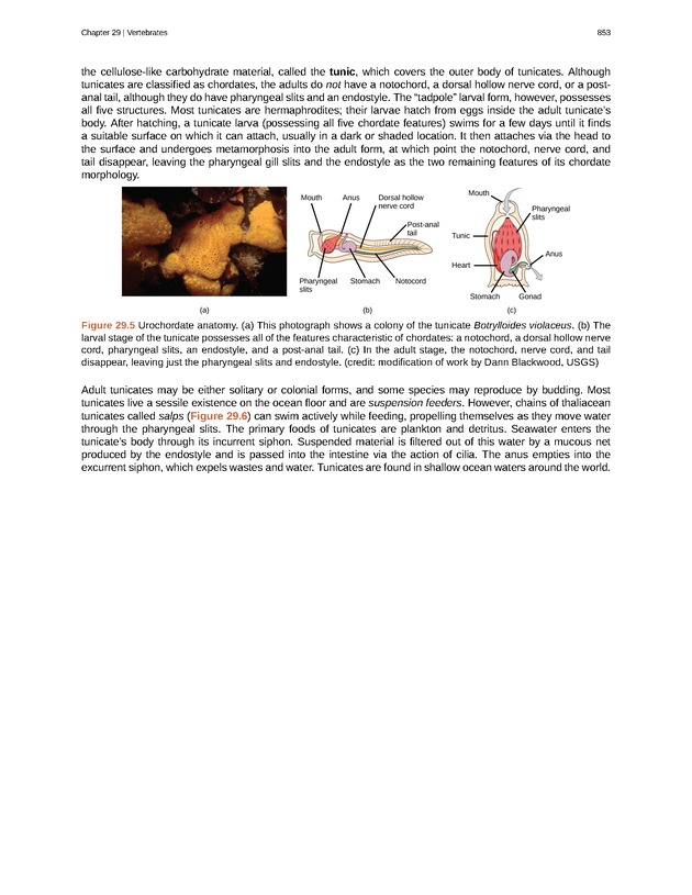 Biology - Front Matter 864