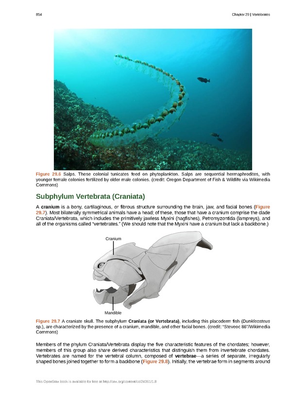 Biology - Front Matter 865