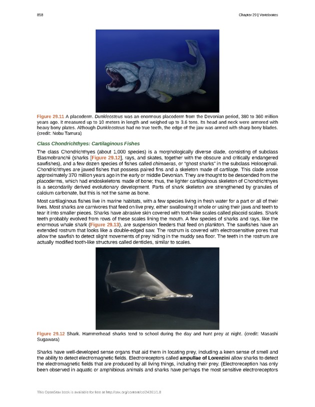 Biology - Front Matter 869