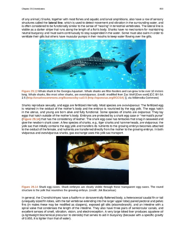 Biology - Front Matter 870